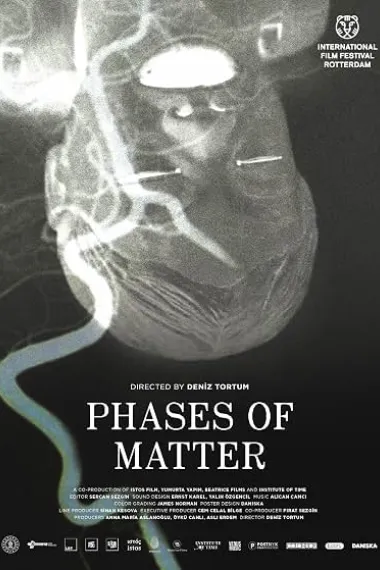 Phases of Matter (2020) 海报