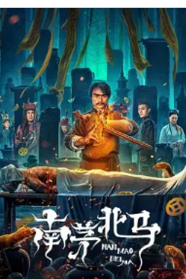 南茅北马 (2023) 海报