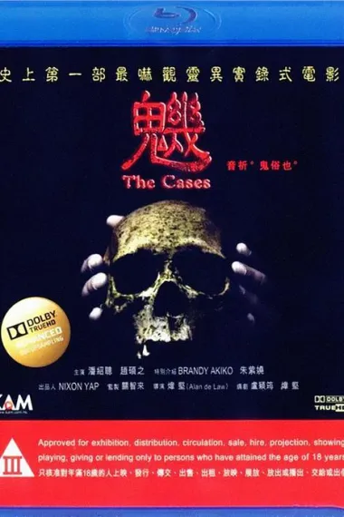 魕 (2012) 海报