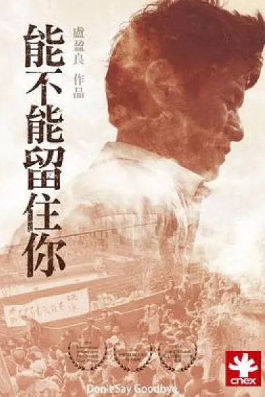 能不能留住你 Don’t Say Goodbye (2015) 海报