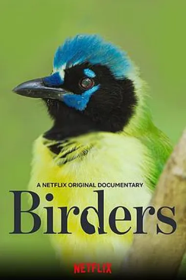 观鸟者 Birders (2019) 海报