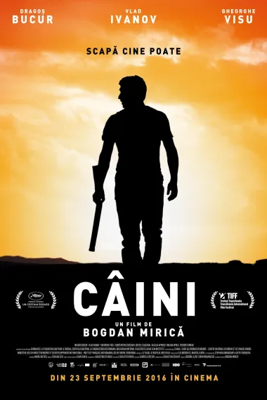 群狗 Câini (2016) 海报