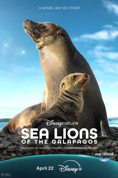 海狮利奥环岛记 Sea Lions of the Galapagos (2025) 海报