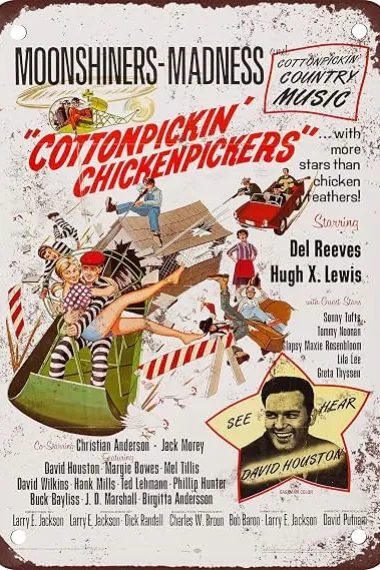 偷鸡贼 Cottonpickin' Chickenpickers (1967) 海报
