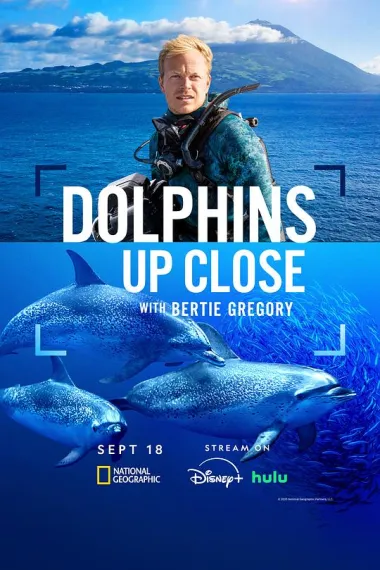 摄影师贝尔蒂与海豚零距离 Dolphins Up Close with Bertie Gregory (2025) 海报