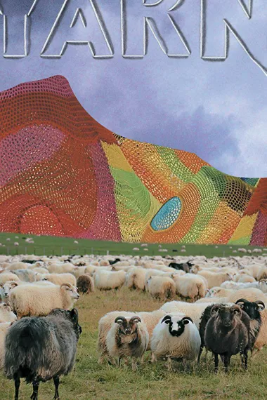 纱 Yarn (2016) 海报