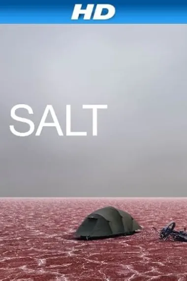 盐漠 Salt (2009) 海报