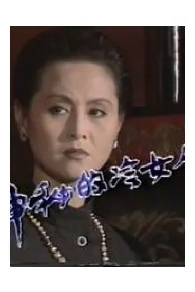 神秘的冷女人 (1989) 海报