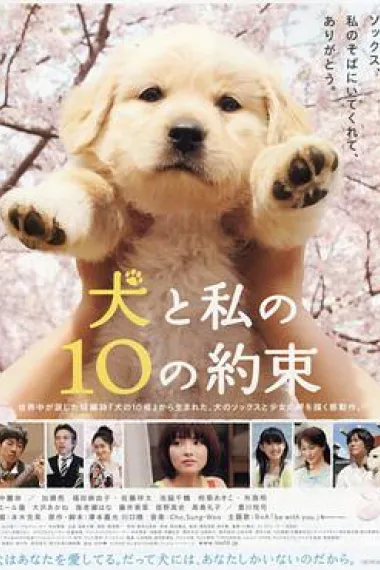 狗狗与我的十个约定 10 Promises to My Dog (2008) 海报