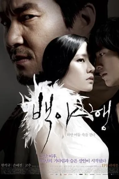 白夜行 White Night (2009) 海报