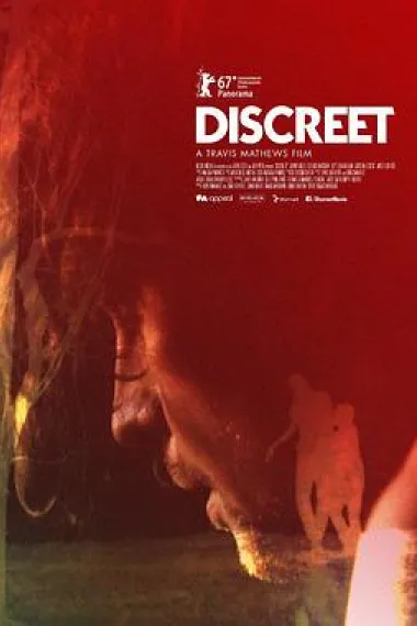 谨慎 Discreet (2017) 海报