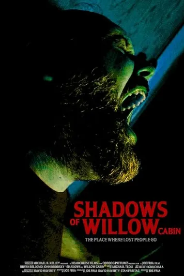 柳屋鬼影 Shadows of Willow Cabin (2025) 海报