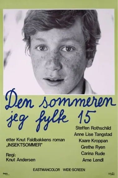 15岁的夏天 Den sommeren jeg fylte 15 (1976) 海报