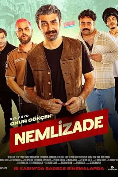 Nemlizad Nemlizade (2024) 海报