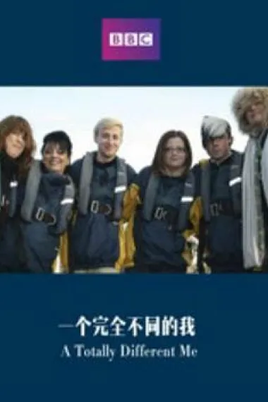 一个完全不同的我 (2012) 海报