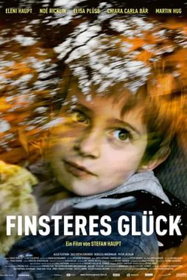 险恶的运气 Finsteres Glück (2016) 海报