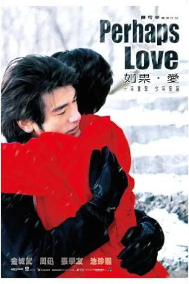 如果·爱 Perhaps Love (2005) 海报