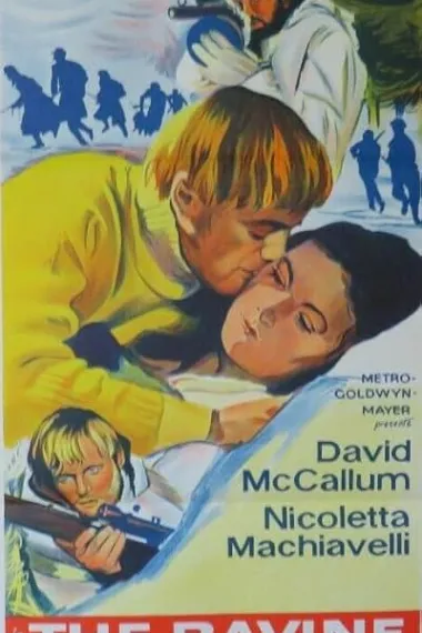 山谷 La cattura (1969) 海报