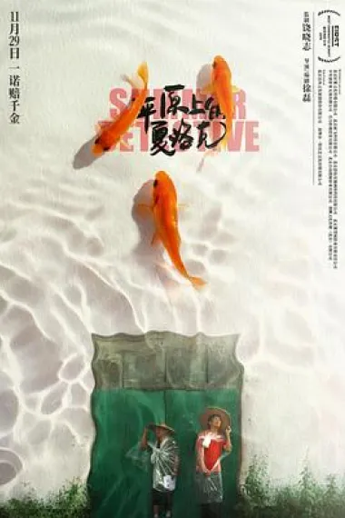 平原上的夏洛克 Rebuilding (2019) 海报