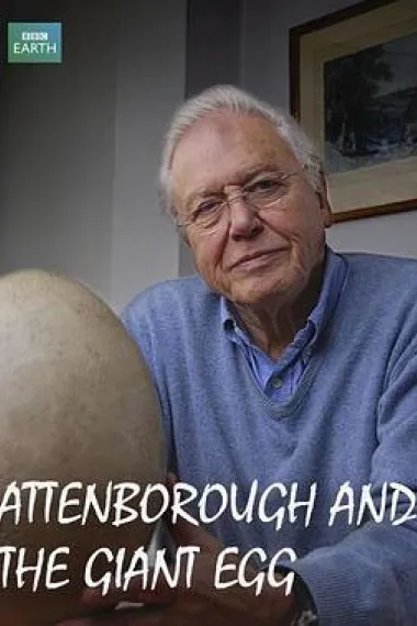 爱登堡与巨蛋 "Madagascar" Attenborough and the Giant Egg (2011) 海报