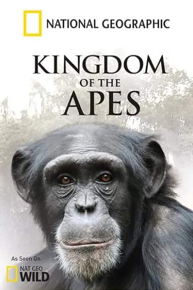 猩猩王国 第一季 Kingdom of the Apes (2014) 海报