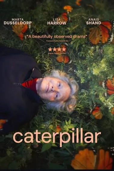 破茧成蝶 Caterpillar (2026) 海报
