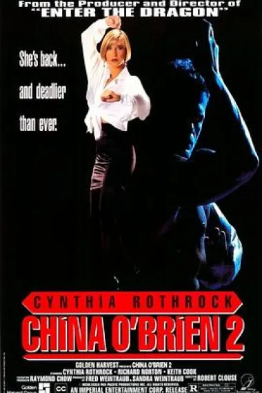 罪恶判官续集 China O'Brien II (1991) 海报