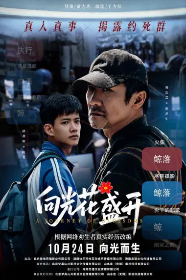 向光花盛开 (2025) 海报