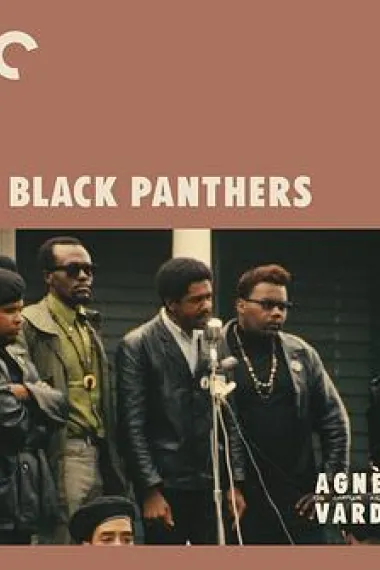 黑豹党 Black Panthers (1968) 海报