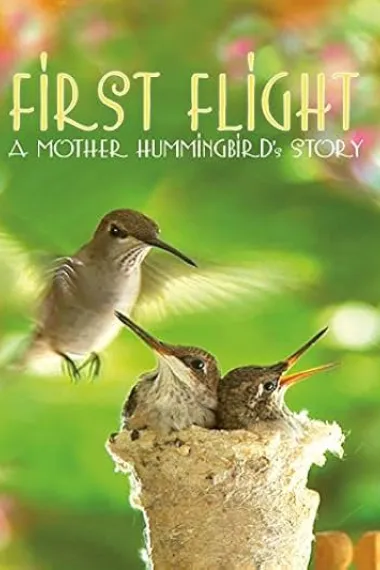 首捷：一只蜂鸟妈妈的抚育故事 First Flight: A Mother Hummingbird's Story (2009) 海报