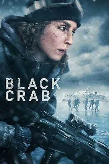 黑蟹行动 Svart krabba (2022) 海报
