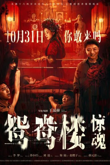 鸳鸯楼·惊魂 Yuanyang Lou (2024) 海报