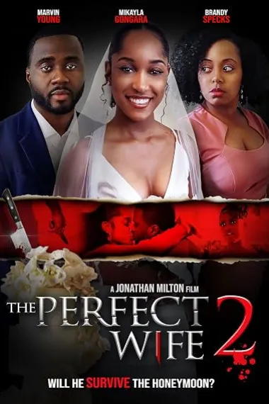 The Perfect Wife 2 (2022) 海报