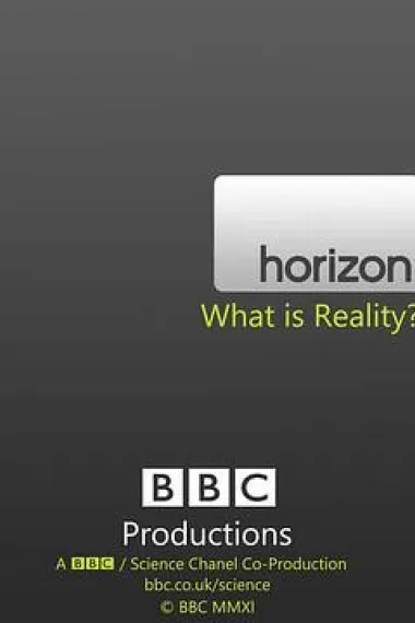 地平线系列：何为现实 "Horizon" What is Reality? (2011) 海报