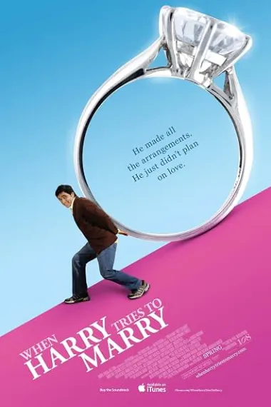 当爱情来临时 When Harry Tries to Marry (2011) 海报