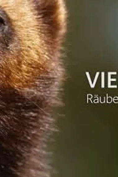 Vielfraß - Räuber des Nordens (2022) 海报