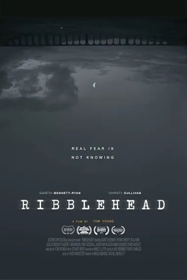 Ribblehead (2022) 海报