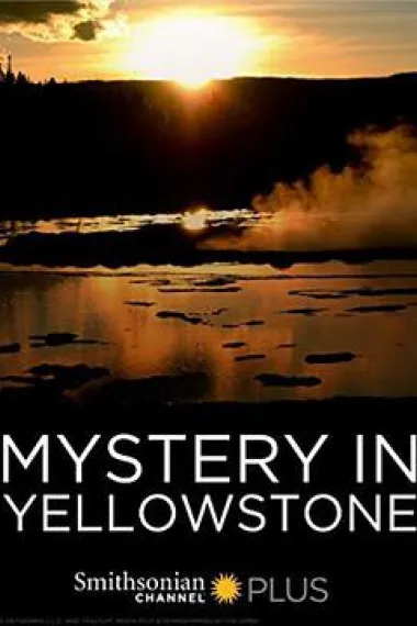 黄石公园之谜 Mystery in Yellowstone (2015) 海报