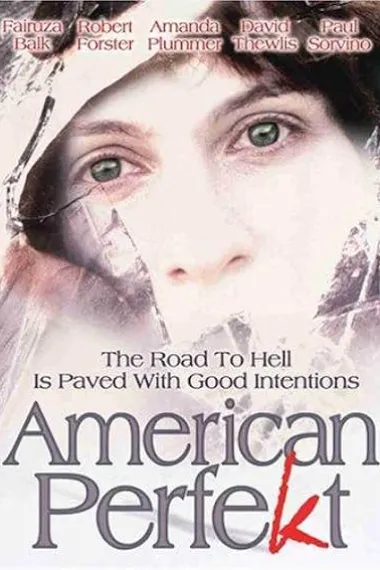 征服美国 American Perfekt (1997) 海报