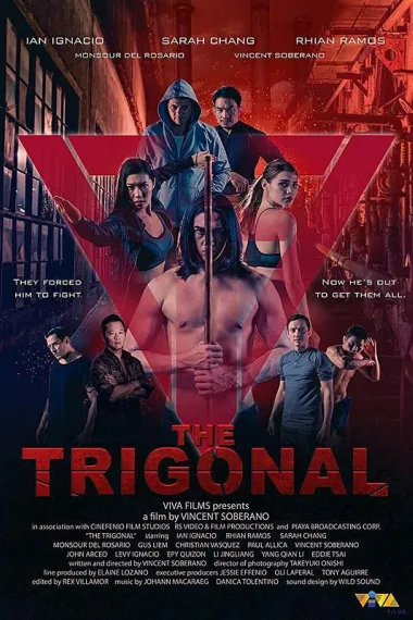 铁三角：正义之战 The Trigonal: Fight for Justice (2018) 海报