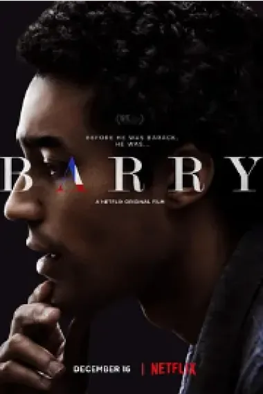 巴里 Barry (2016) 海报