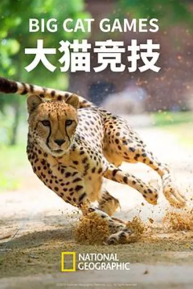 大猫竞技 (2016) 海报