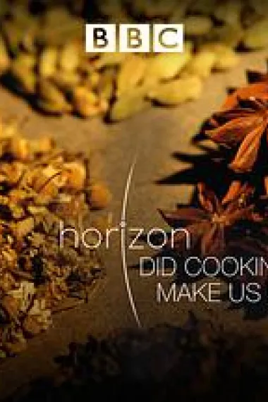 地平线系列：烹饪造就人类吗 "Horizon" Did Cooking Make Us Human (2010) 海报