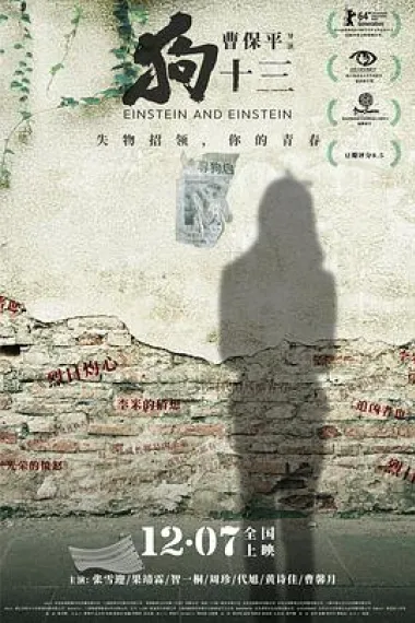狗十三 Einstein and Einstein (2013) 海报