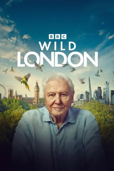 狂野伦敦 Wild London (2026) 海报