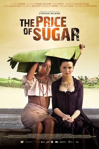 糖多少钱 Hoe duur was de suiker (2013) 海报