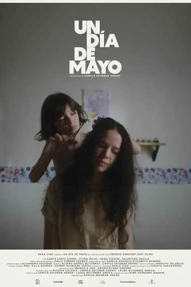 Un día de mayo (2024) 海报