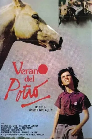 菲耶罗... 一个夏天的秘密 El verano del potro (1989) 海报