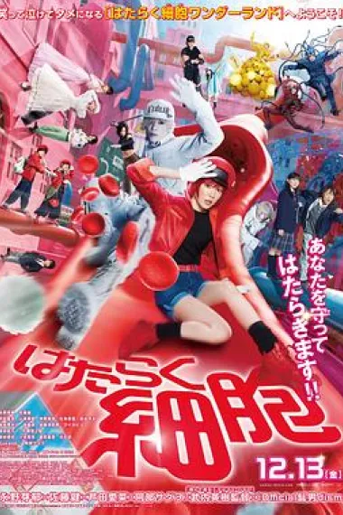 工作细胞 真人版 Hataraku saibou (2024) 海报