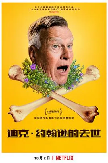 迪克·约翰逊的去世 Dick Johnson Is Dead (2020) 海报